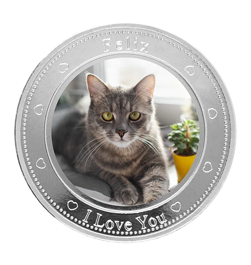 Printing pet coin
